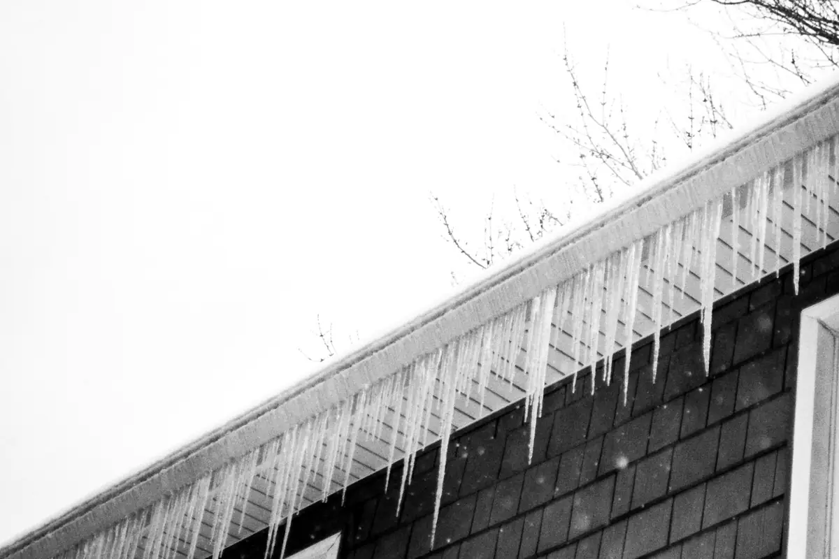 Icicles hanging from the eaves of a shingled house